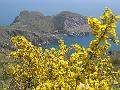 20 aprile 2008 - Punta Campanella - S.Costanzo - Ieranto